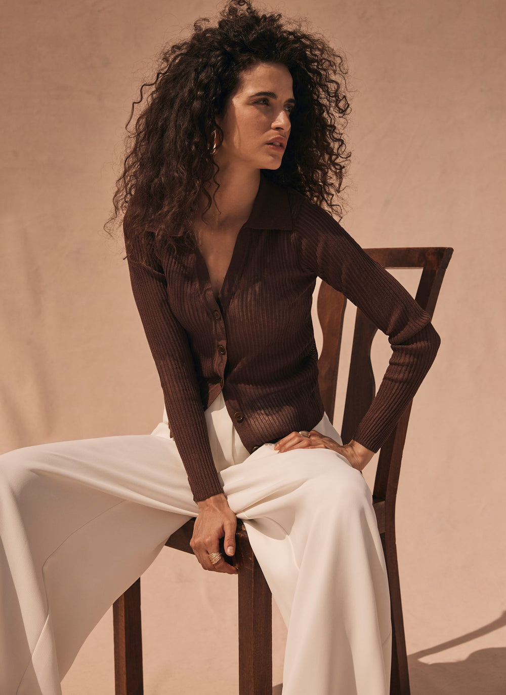 Brown Sheer Collar Knit Shirt