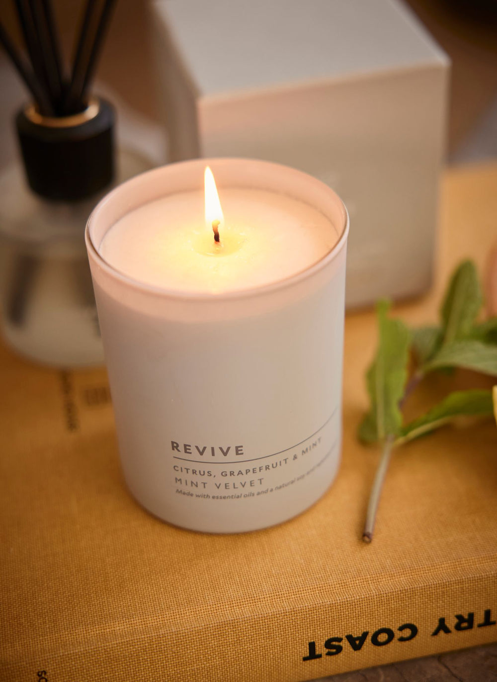 Revive Citrus & Mint Candle