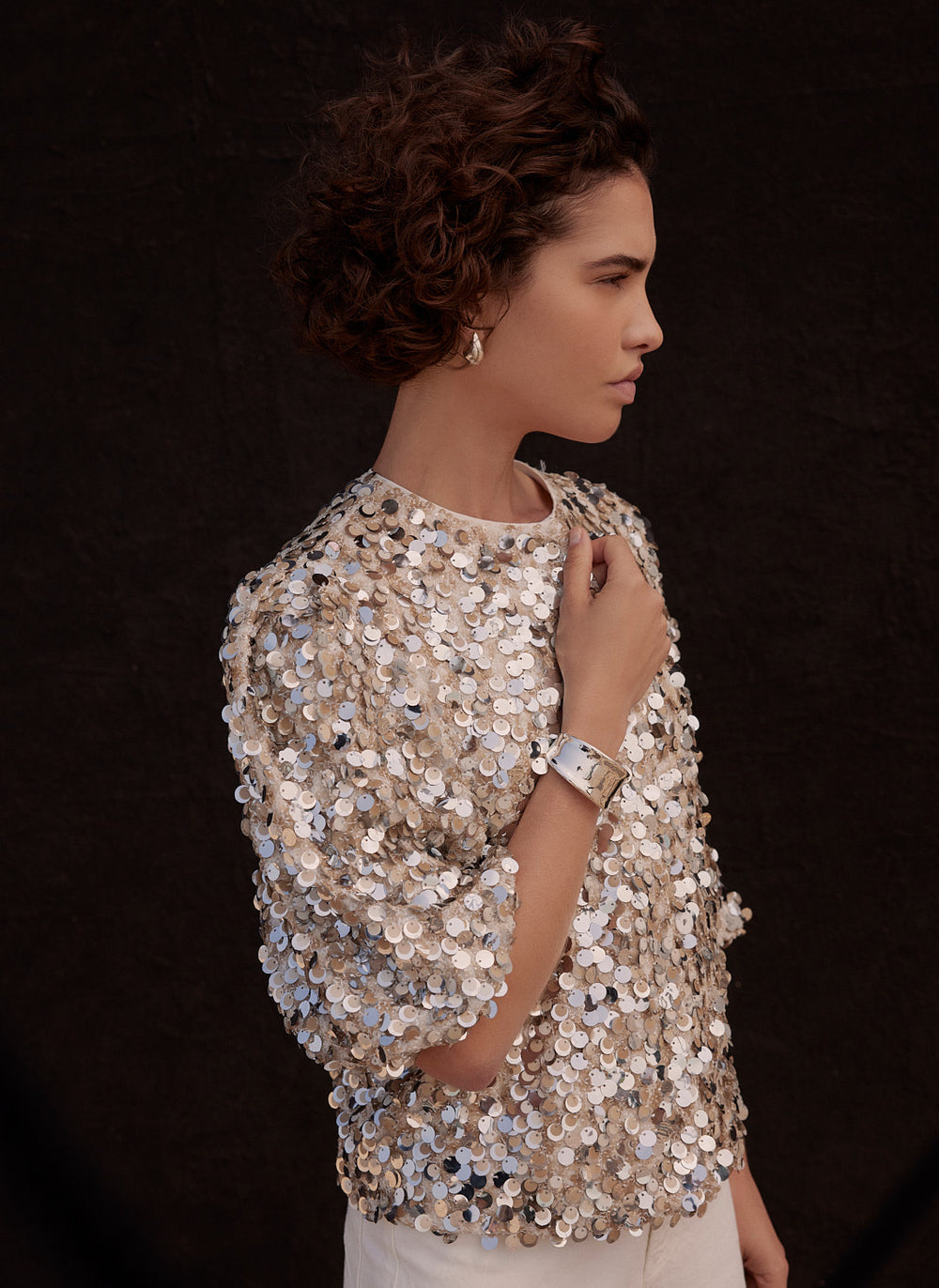 Silver Sequin Puff Sleeve Top