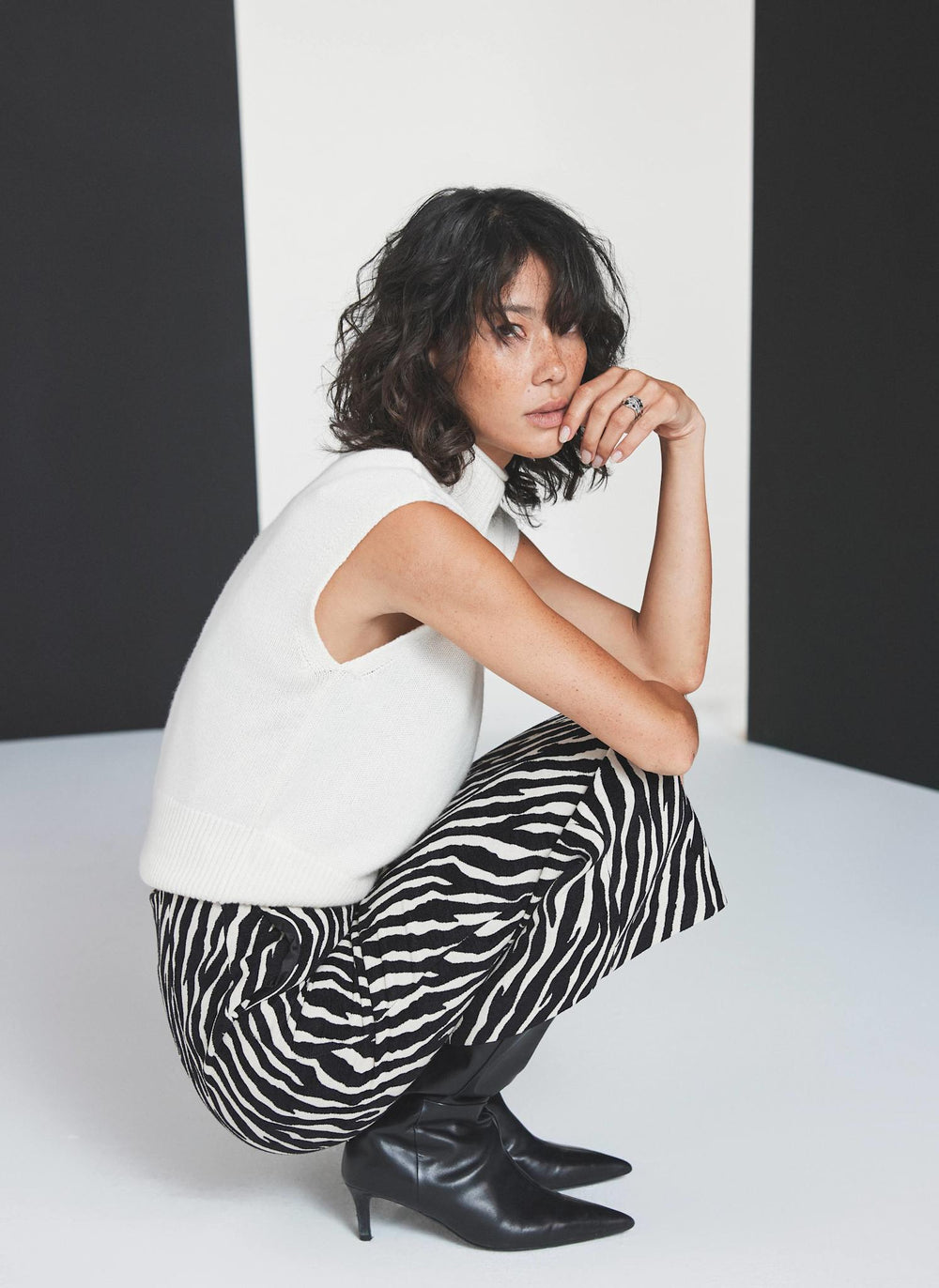 Neutral Zebra Print Midi Skirt