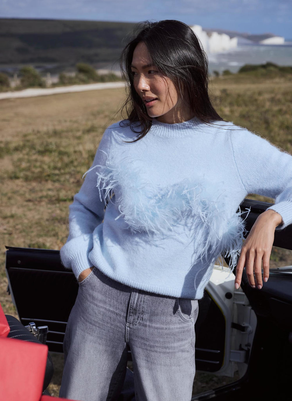 Pale Blue Wool Blend Feather Detail Jumper