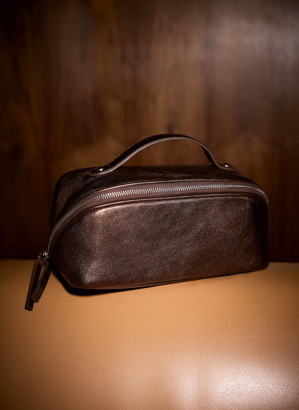 Bronze Metallic Leather Wash Bag