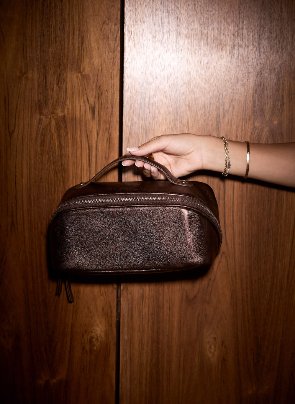 Bronze Metallic Leather Wash Bag