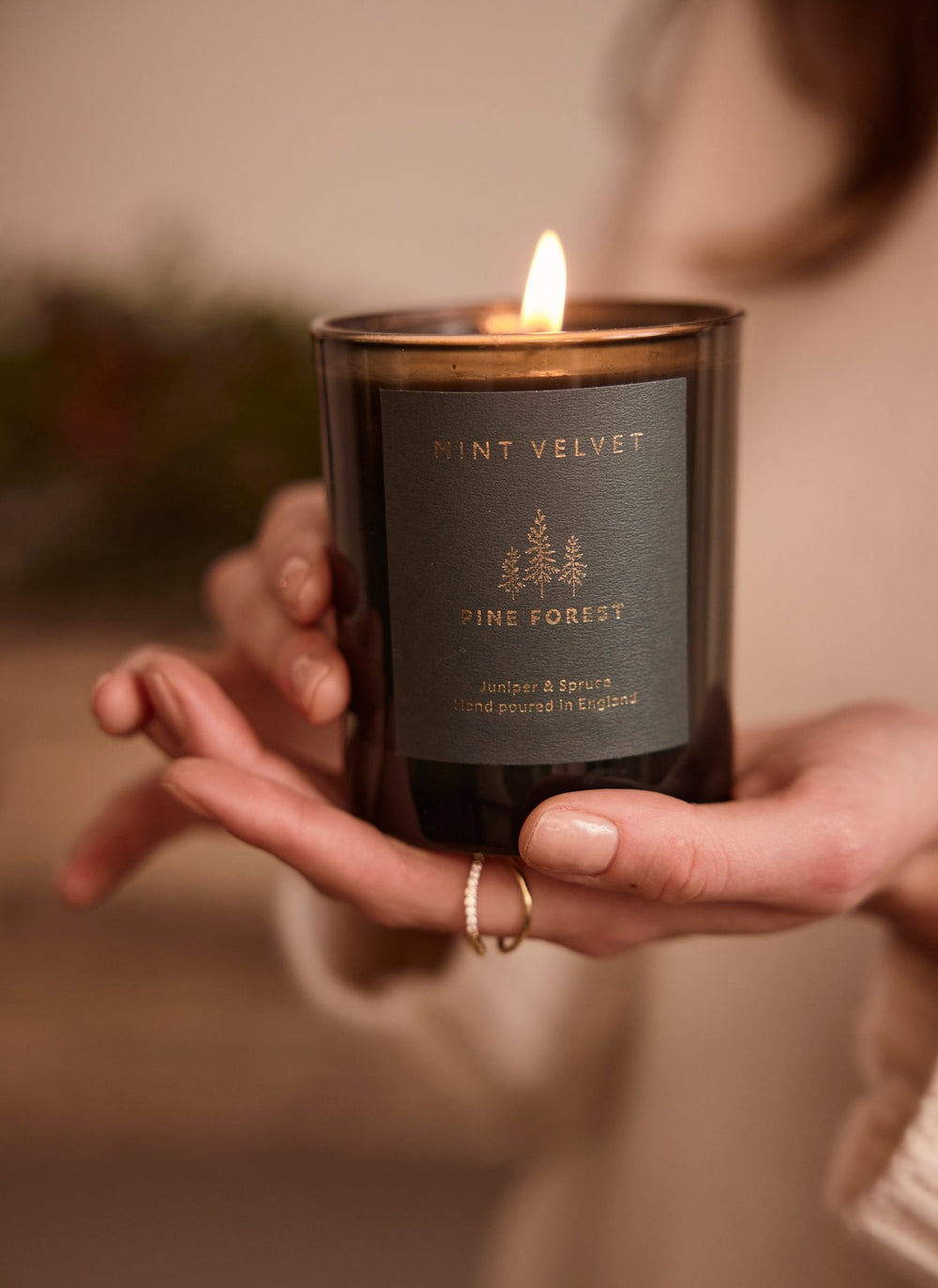 Pine Forest Scented Candle
