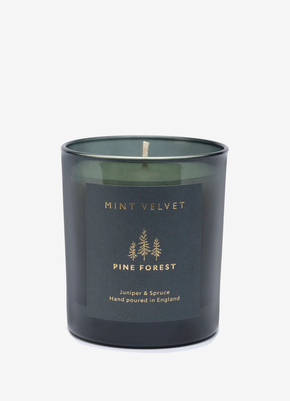 Pine Forest Scented Candle