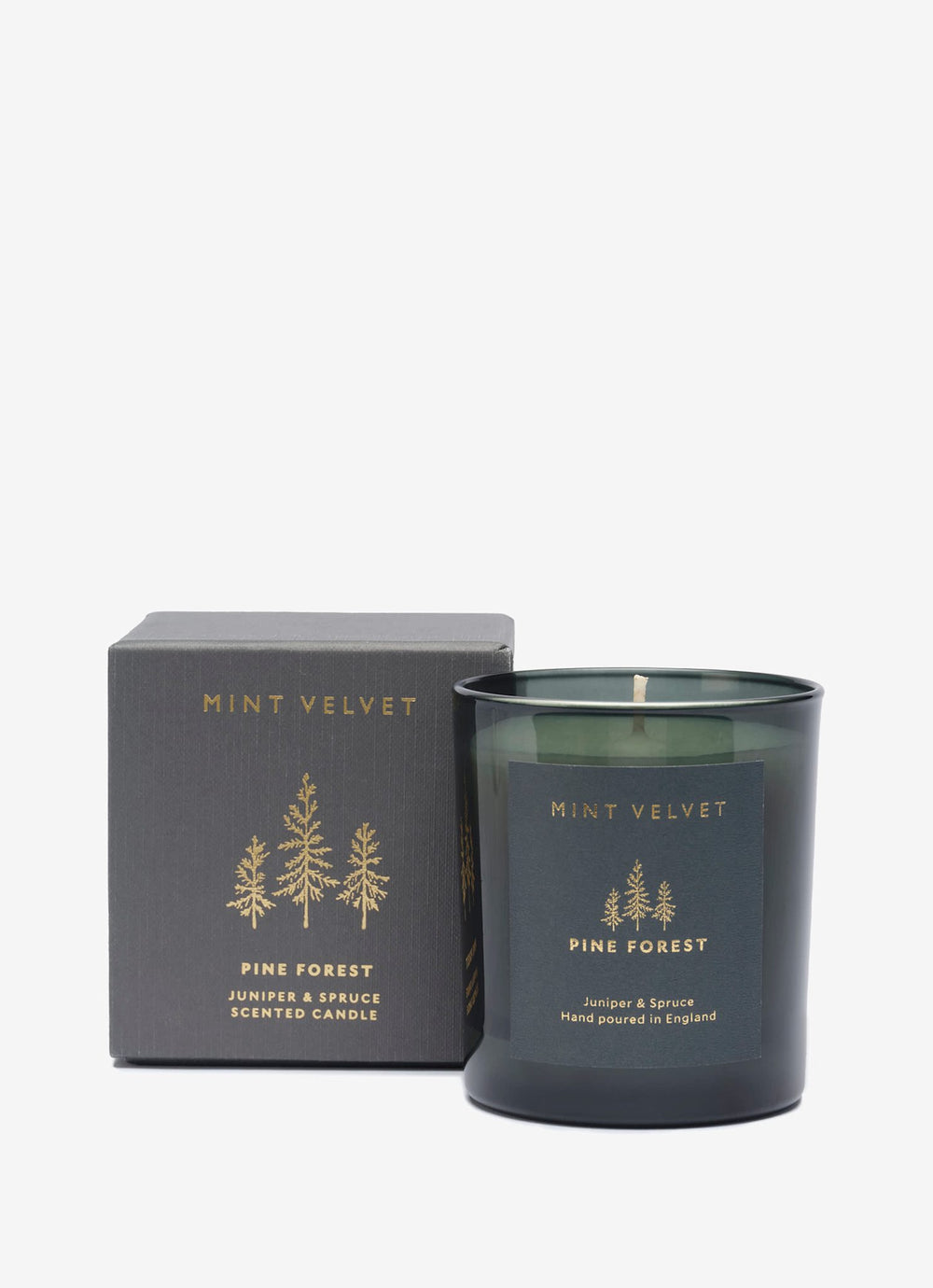 Pine Forest Scented Candle